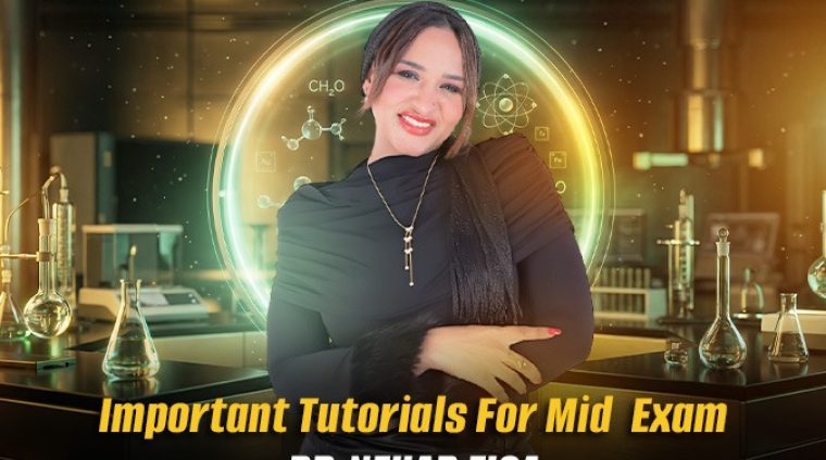 WhatsApp Image 2026-03-11 at 2.56.51 PM